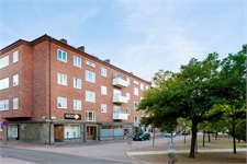 Image missing alt text